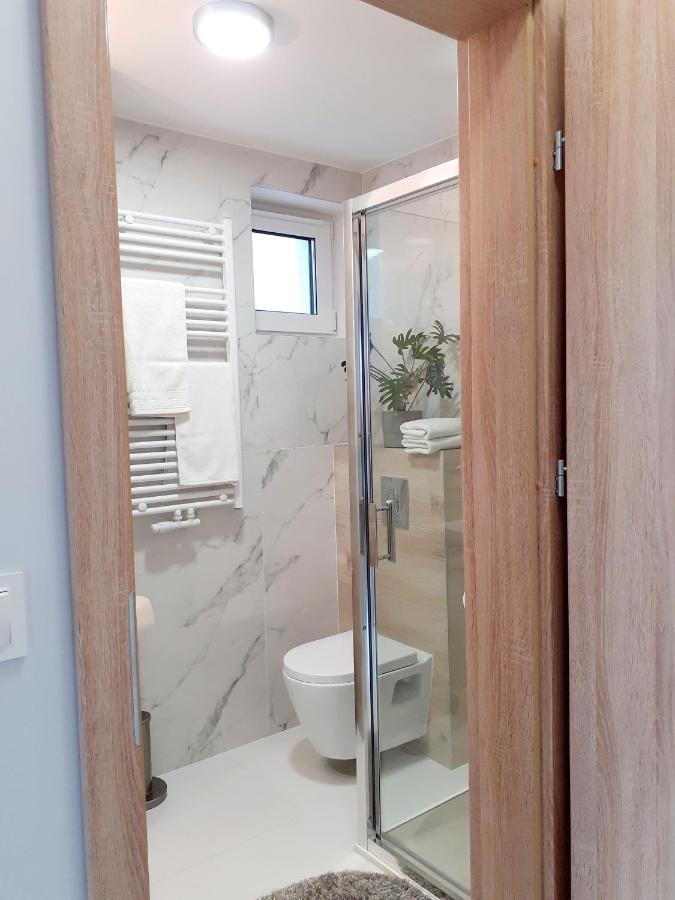 Willa Na Bielanach Apartment Bielany Wrocławskie Екстериор снимка